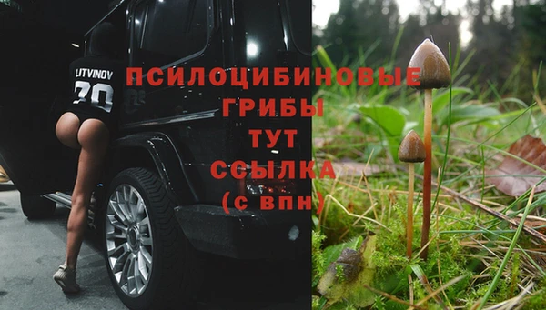 метадон Корсаков