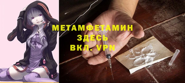 крисы Козельск