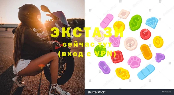 крисы Козельск