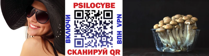 Псилоцибиновые грибы мухоморы  мега ссылка  Мариинский Посад 